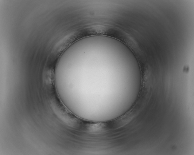 X0000113980122200910021146