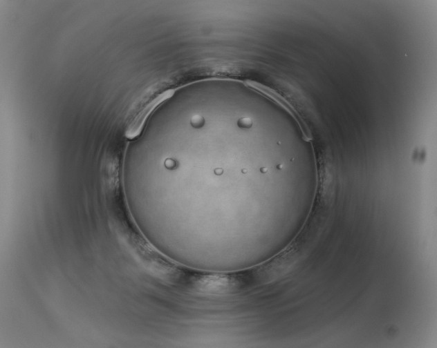 X0000113980123200910021146