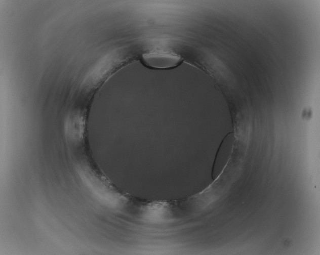 X0000113980124200910021146