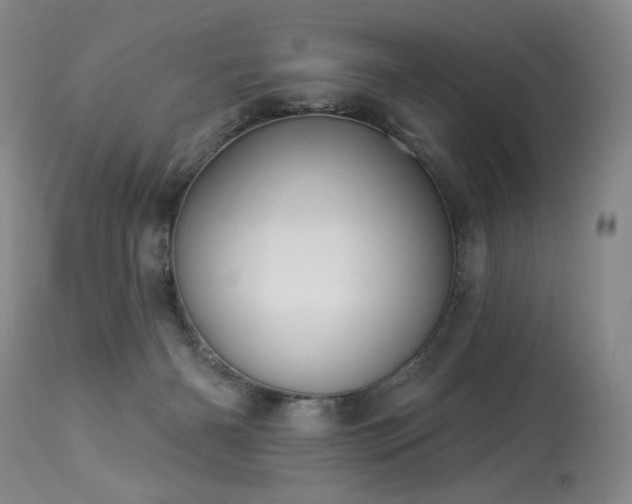 X0000113980126200910021146