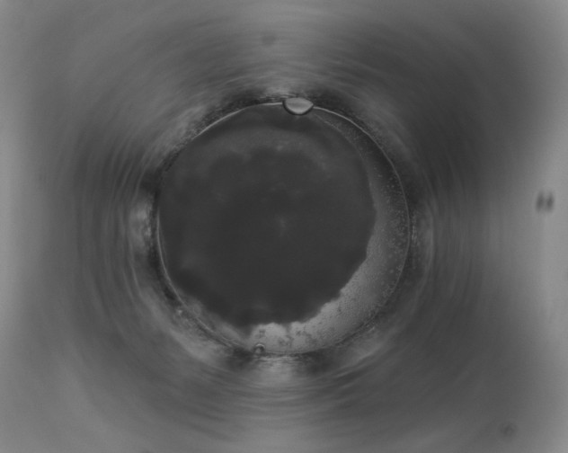 X0000113980127200910021146