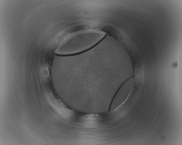 X0000113980128200910021146