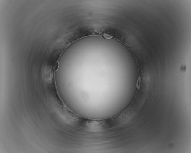 X0000113980129200910021146