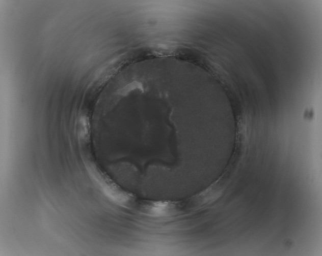 X0000113980130200910021146