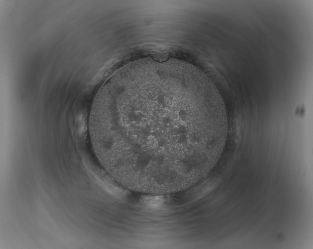 X0000113980131200910021146