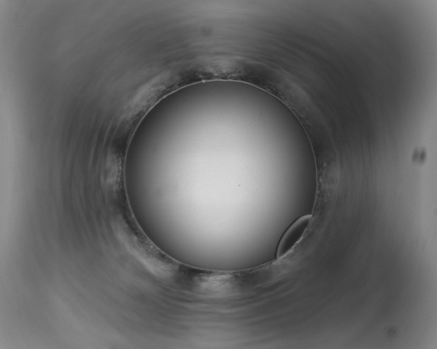 X0000113980132200910021146