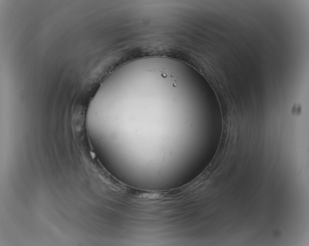 X0000113980133200910021146