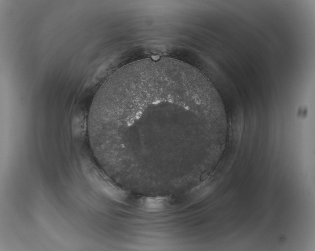 X0000113980134200910021146