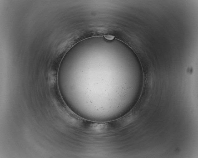 X0000113980135200910021146