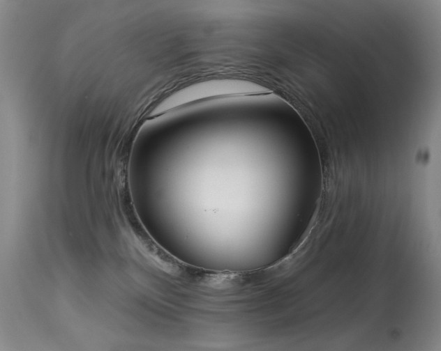 X0000113980136200910021146