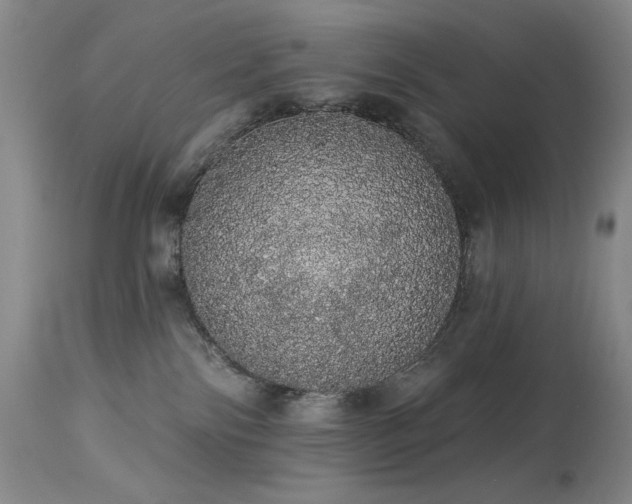 X0000113980138200910021146