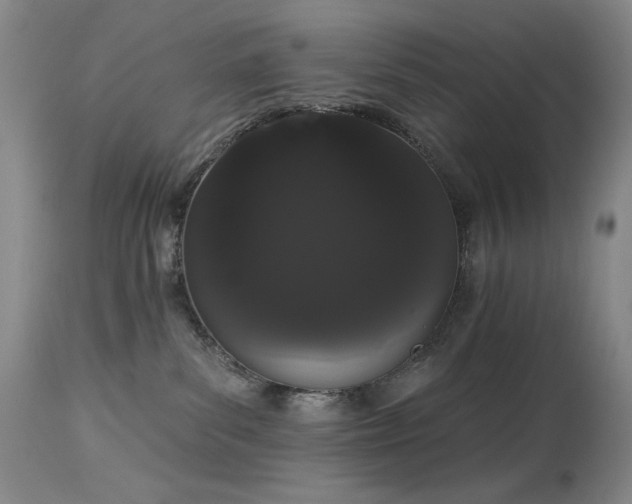 X0000113980139200910021146