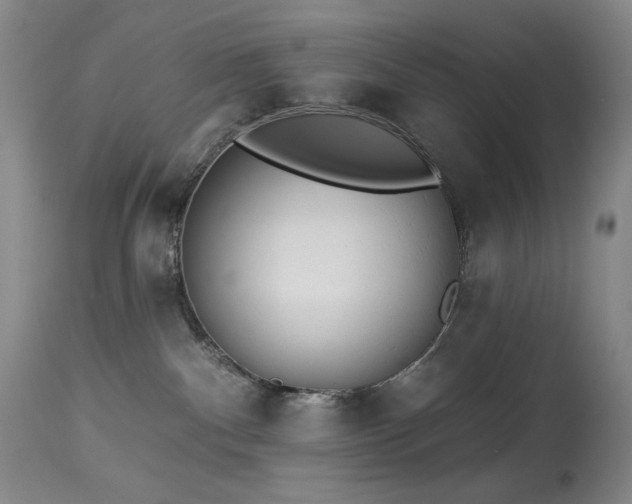 X0000113980140200910021146