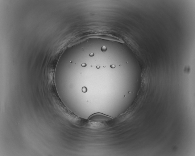 X0000113980141200910021146