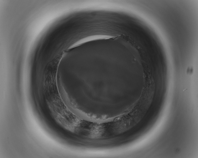 X0000113980143200910021146