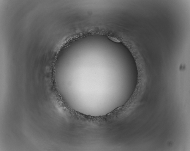 X0000113980144200910021146