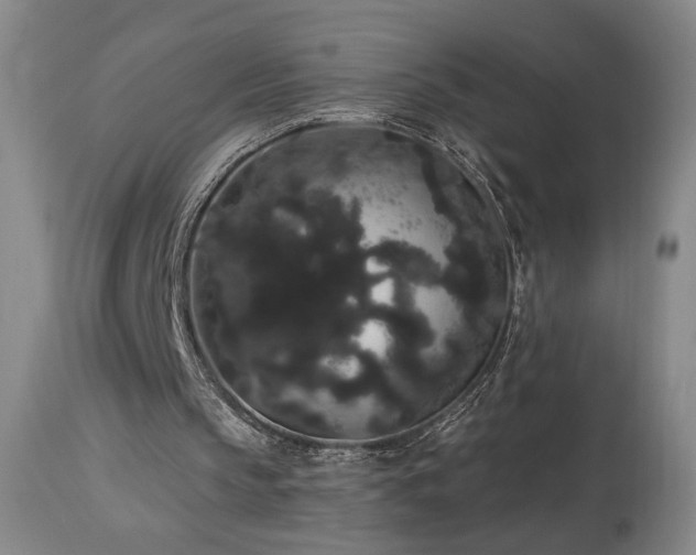 X0000113980145200910021145