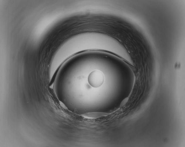 X0000113980146200910021145