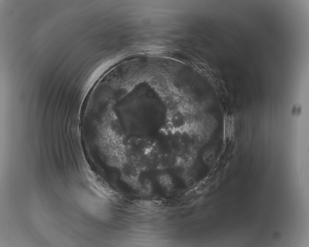 X0000113980147200910021145