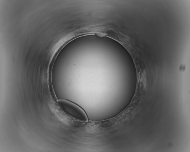 X0000113980148200910021145