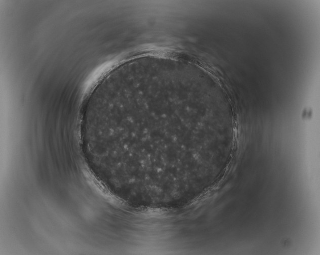 X0000113980149200910021145