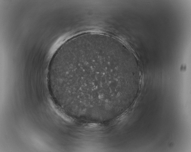 X0000113980151200910021145