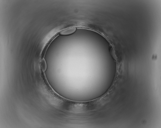 X0000113980152200910021145