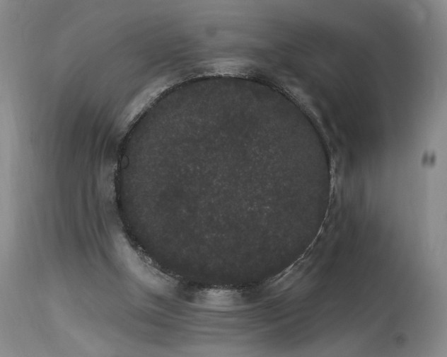 X0000113980154200910021145