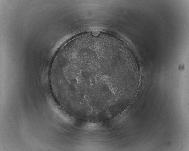 X0000113980155200910021145