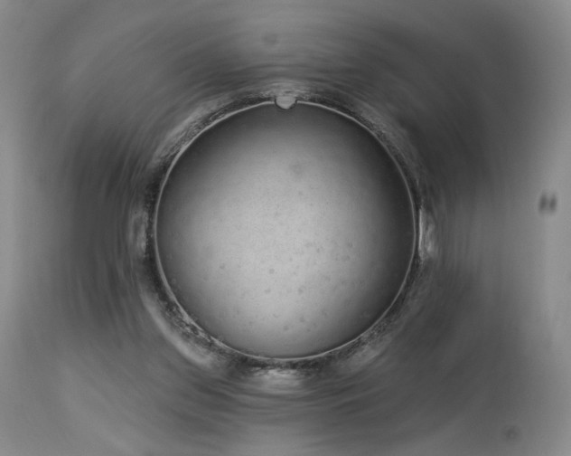 X0000113980157200910021145