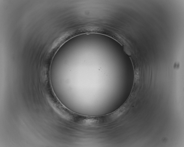 X0000113980158200910021145