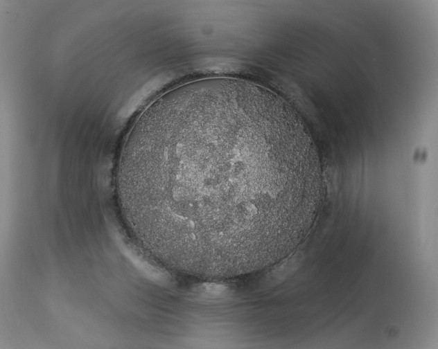 X0000113980159200910021145