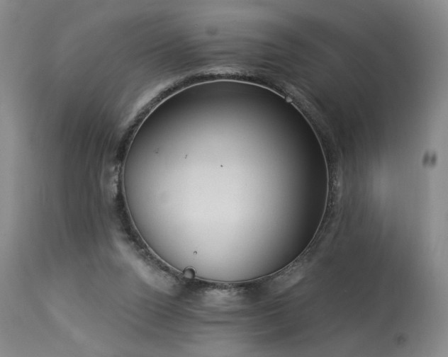 X0000113980160200910021145