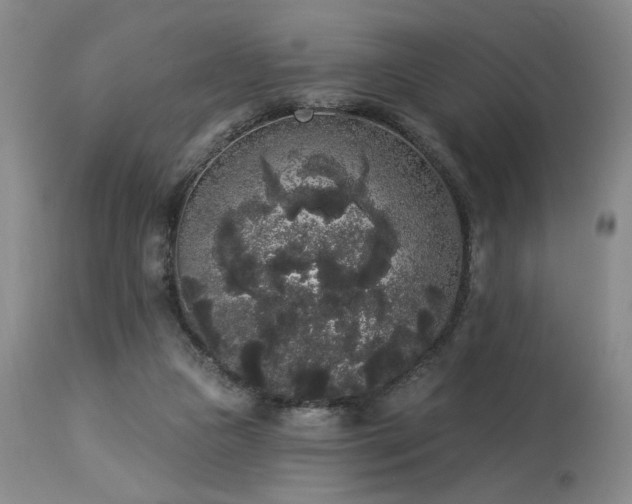 X0000113980161200910021145