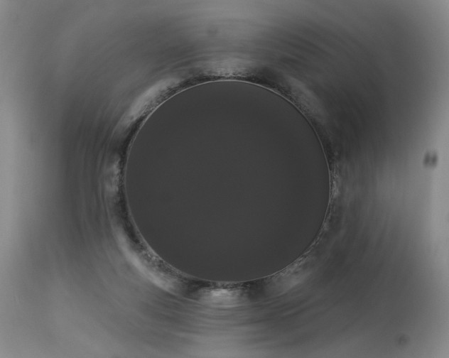 X0000113980163200910021145