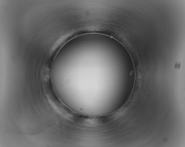 X0000113980164200910021145