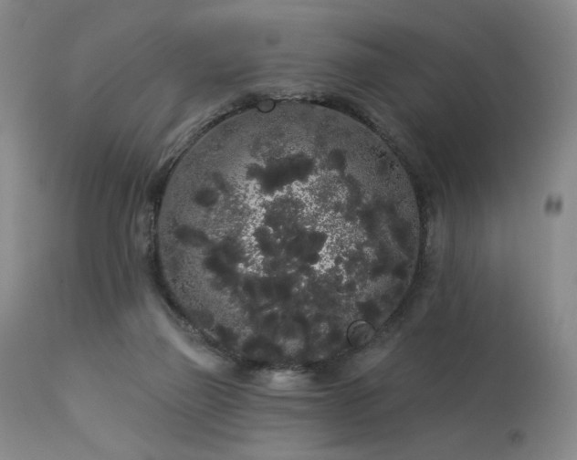 X0000113980165200910021145