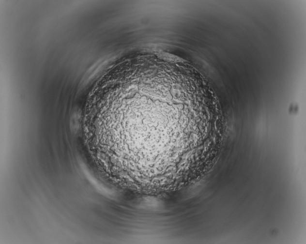 X0000113980166200910021145