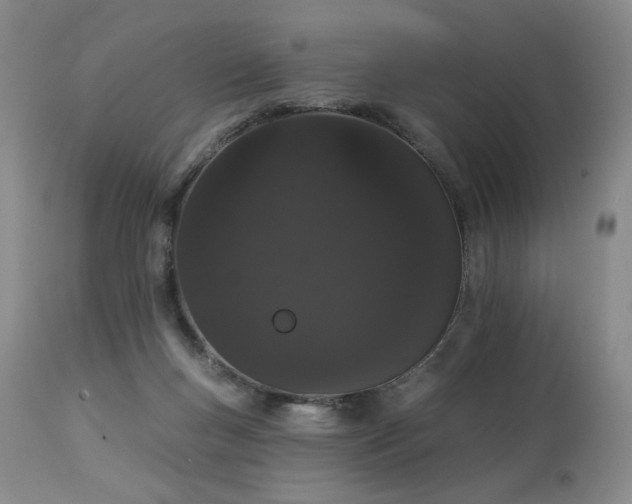 X0000113980167200910021145