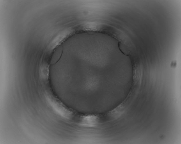 X0000113980168200910021145