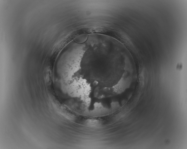 X0000113980169200910021146