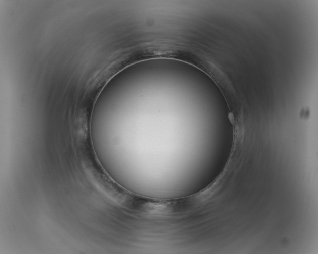 X0000113980170200910021146