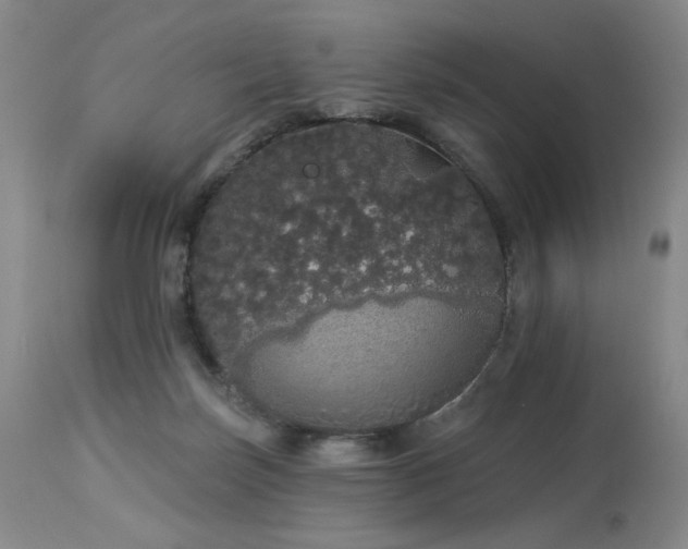 X0000113980171200910021146