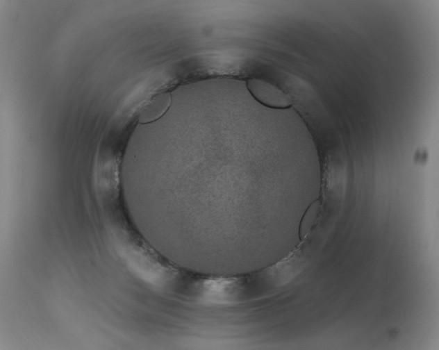 X0000113980172200910021146