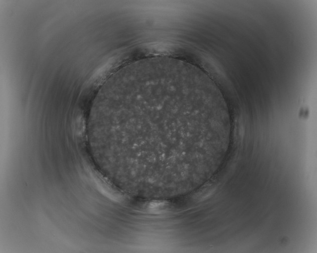 X0000113980173200910021146