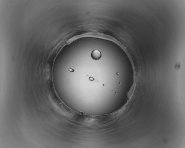 X0000113980174200910021146