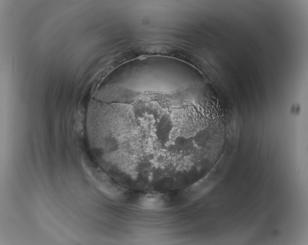 X0000113980175200910021146