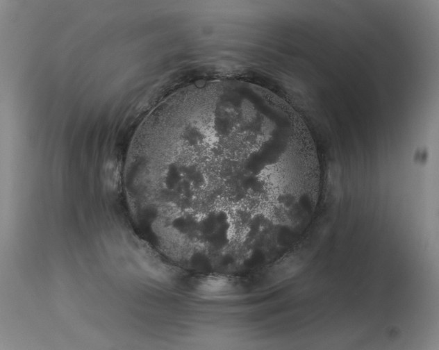 X0000113980177200910021146