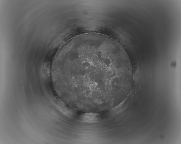 X0000113980179200910021146