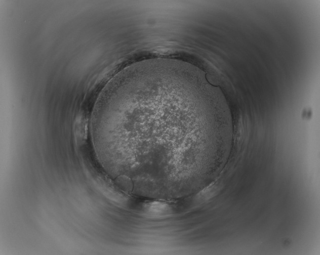 X0000113980180200910021146